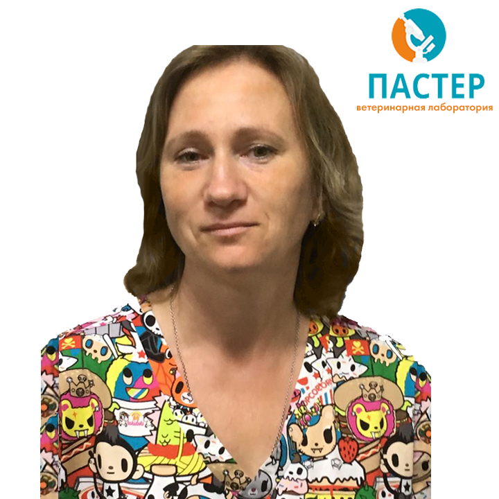Власенкова Светлана Викторовна специалист в области ветеринарная кардиология, диагностика эндокринных нарушений, лабораторная диагностика
