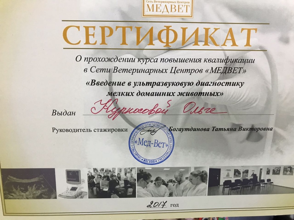 Сертификат Курносова